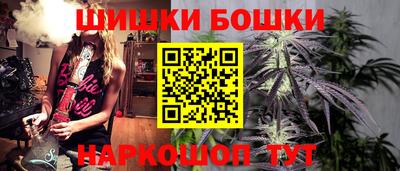 сатива Можга
