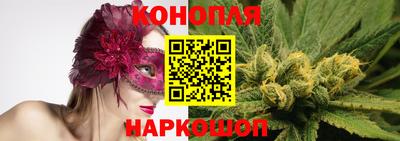 сатива Можга